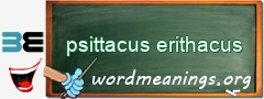 WordMeaning blackboard for psittacus erithacus